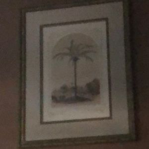 Meet your Posher, Dylan